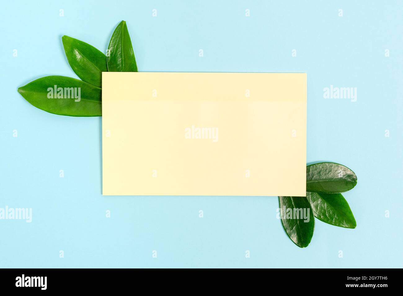 Tema natura Presentazione idee e disegni, visualizzazione di materiali rinnovabili Foto Stock