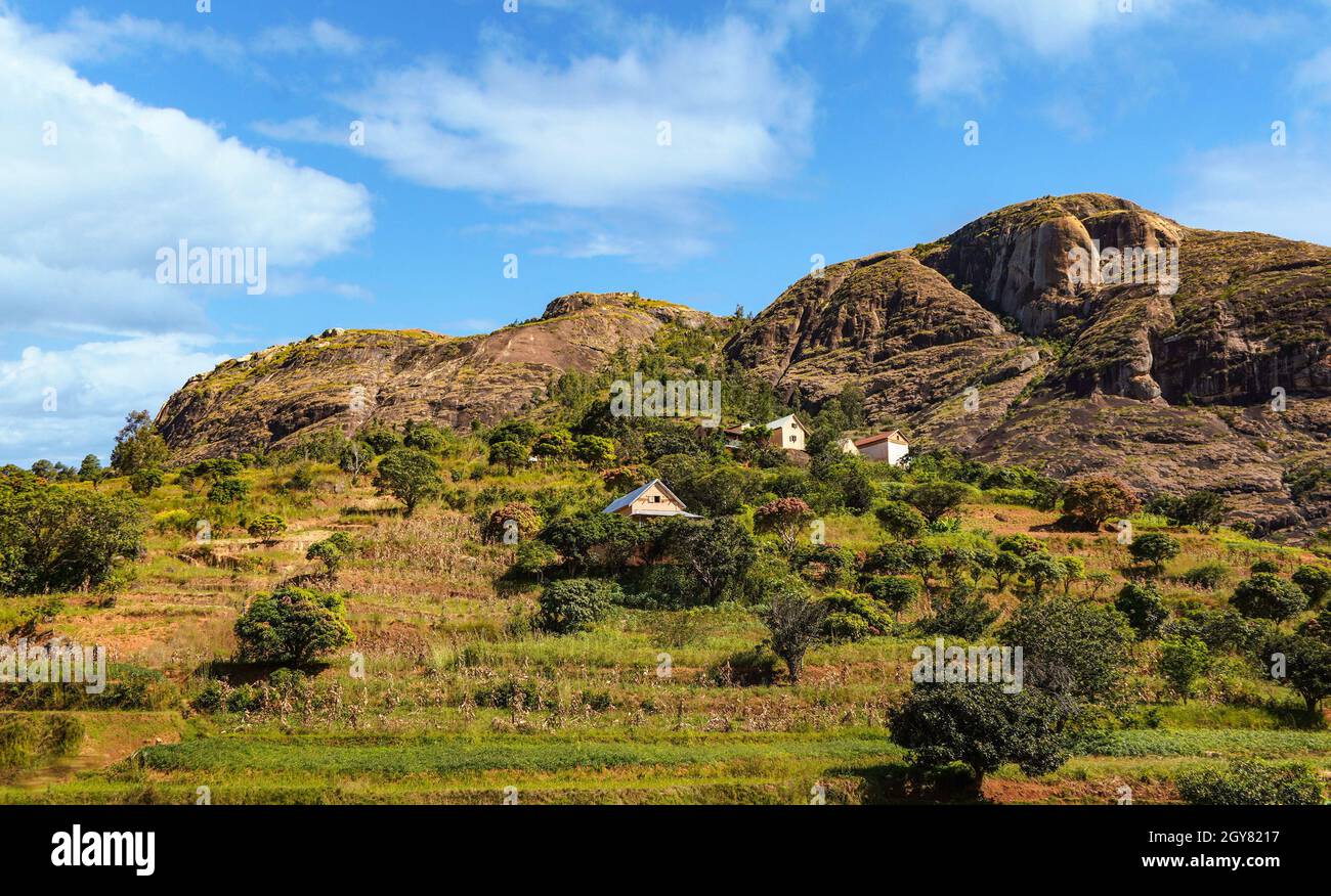 Paesaggio tipico del Madagascar - campi verdi e gialli di riso terrazzati su piccole colline con case di argilla nella regione vicino Ambositra. Foto Stock