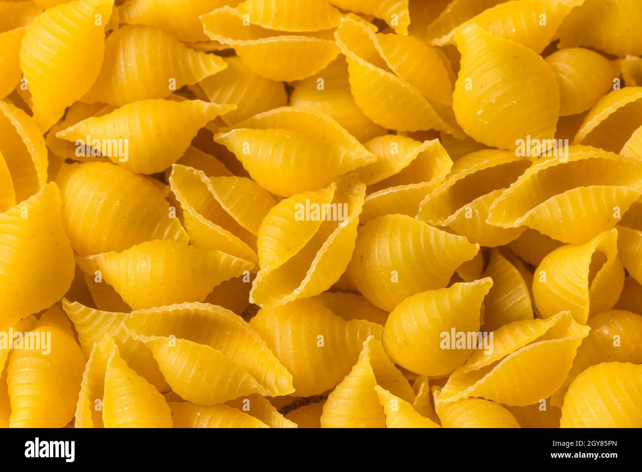 Conchiglie di pasta organica secca cruda e media pronta per cuoco Foto Stock