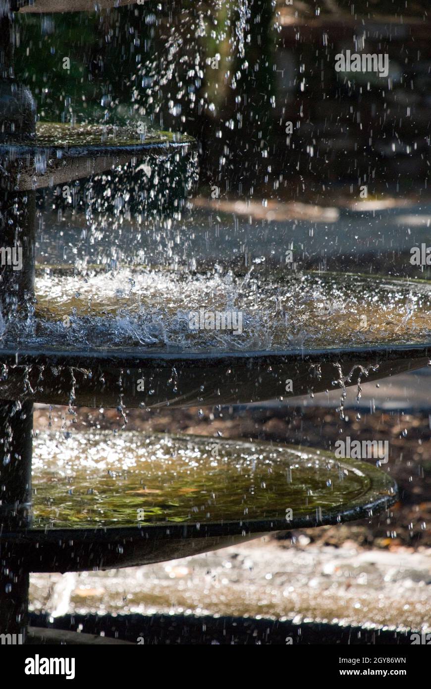 Wassertropfen. Fotografiert mit einer Nikon D80. Foto Stock