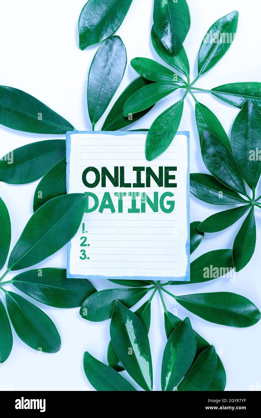 Titolo concettuale Online Dating, Panoramica aziendale Ricerca di relazioni di corrispondenza eDating Video chatting Saving idee e piani di ambiente, creati Foto Stock