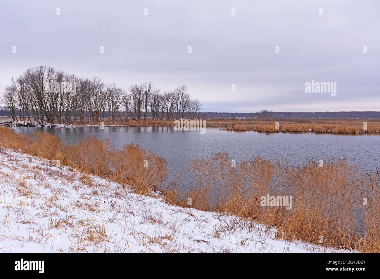 Quiet Snow in una riserva naturale appartata sul fiume Mississippi vicino a Fulton, Illinois Foto Stock