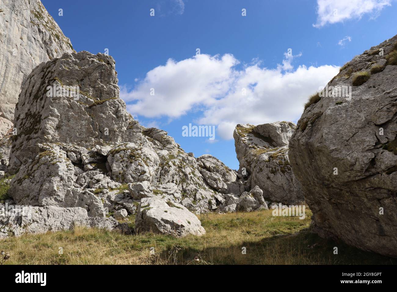 Rocky Mountain paesaggio Foto Stock