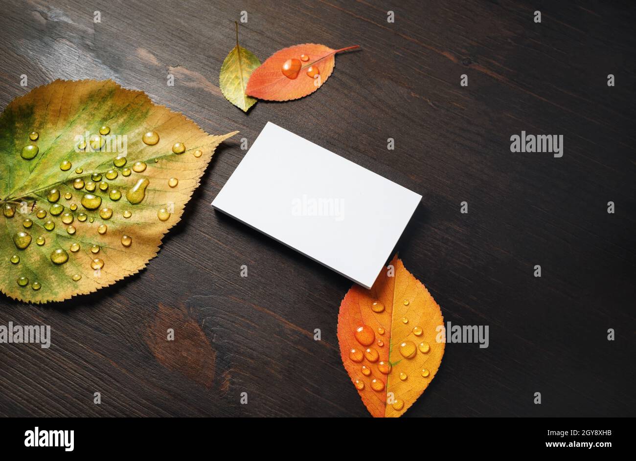 Foto di biglietto da visita vuoto e foglie di autunno brillante su sfondo di legno. Modello per identità di branding. Mockup per ID. Foto Stock
