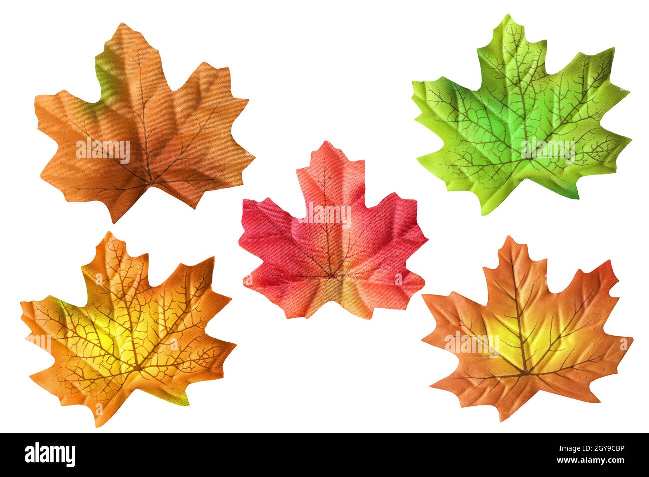 Collage set di foglie d'autunno. Vista dall'alto su vari fogli di acero multicolore in tessuto. Elementi decorativi. Foto Stock