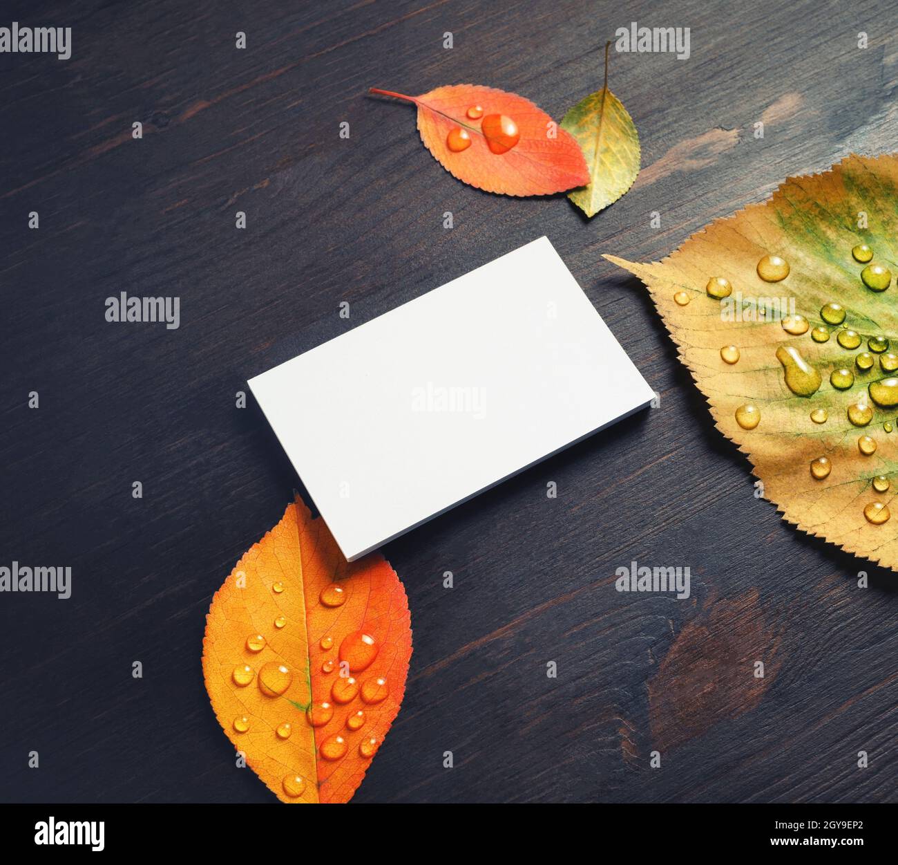 Blank business card e foglie di autunno sulla tavola di legno dello sfondo. Foto Stock