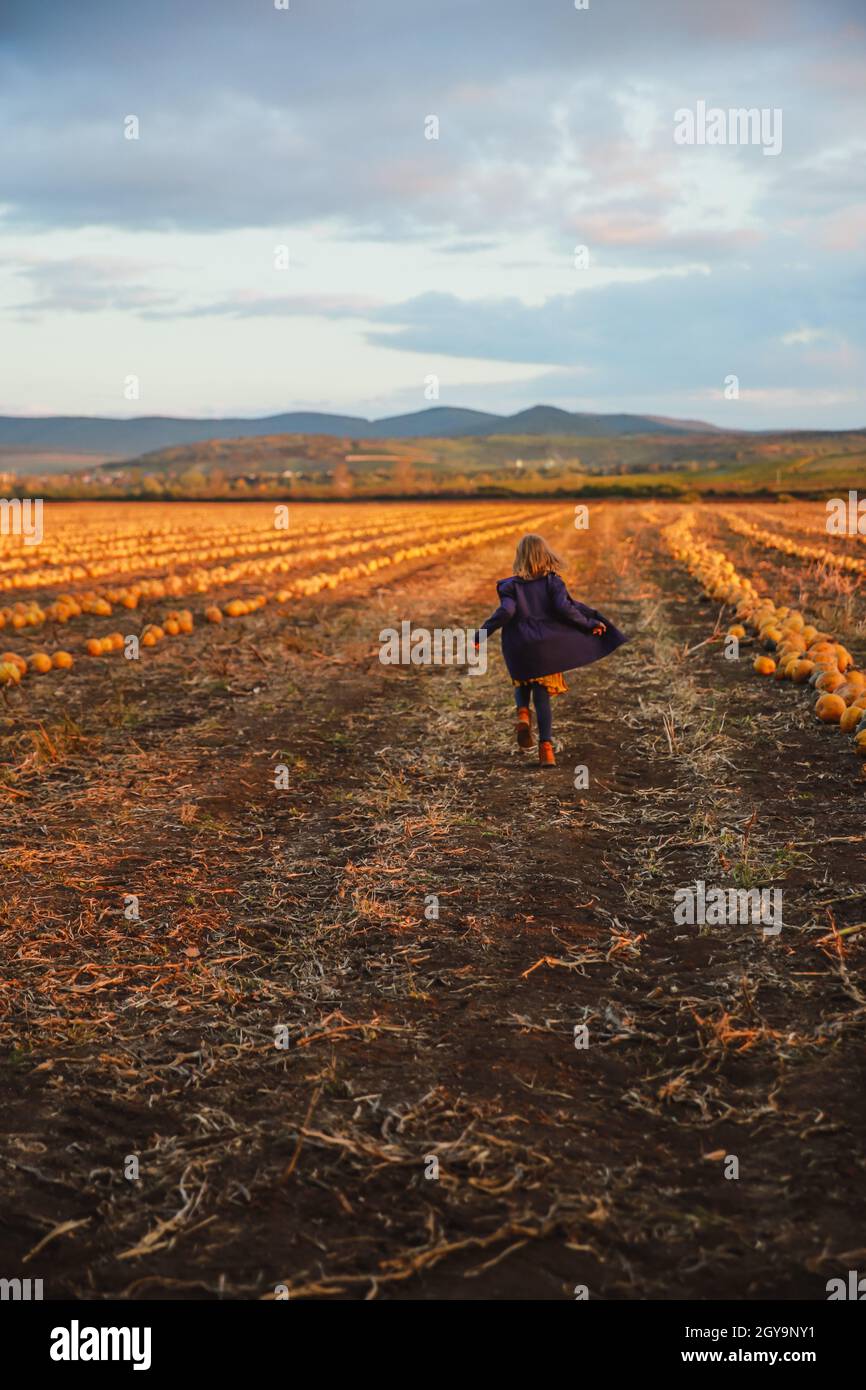 Ragazza felice in cappotto blu scuro che corre sul campo di zucca Foto Stock