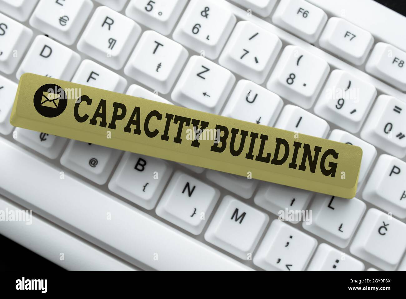 Ispirazione mostrando segno Capacity Building, Business Overview rafforzare le capacità dei singoli Workforce pianificazione in connessione con Online Friend Foto Stock