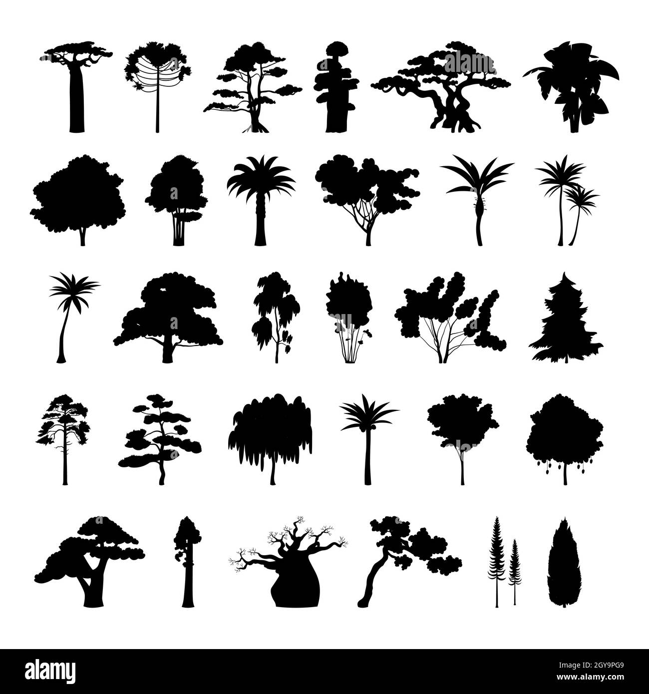 Sagome nere di alberi di diverse zone climatiche su sfondo bianco - illustrazione vettoriale Foto Stock