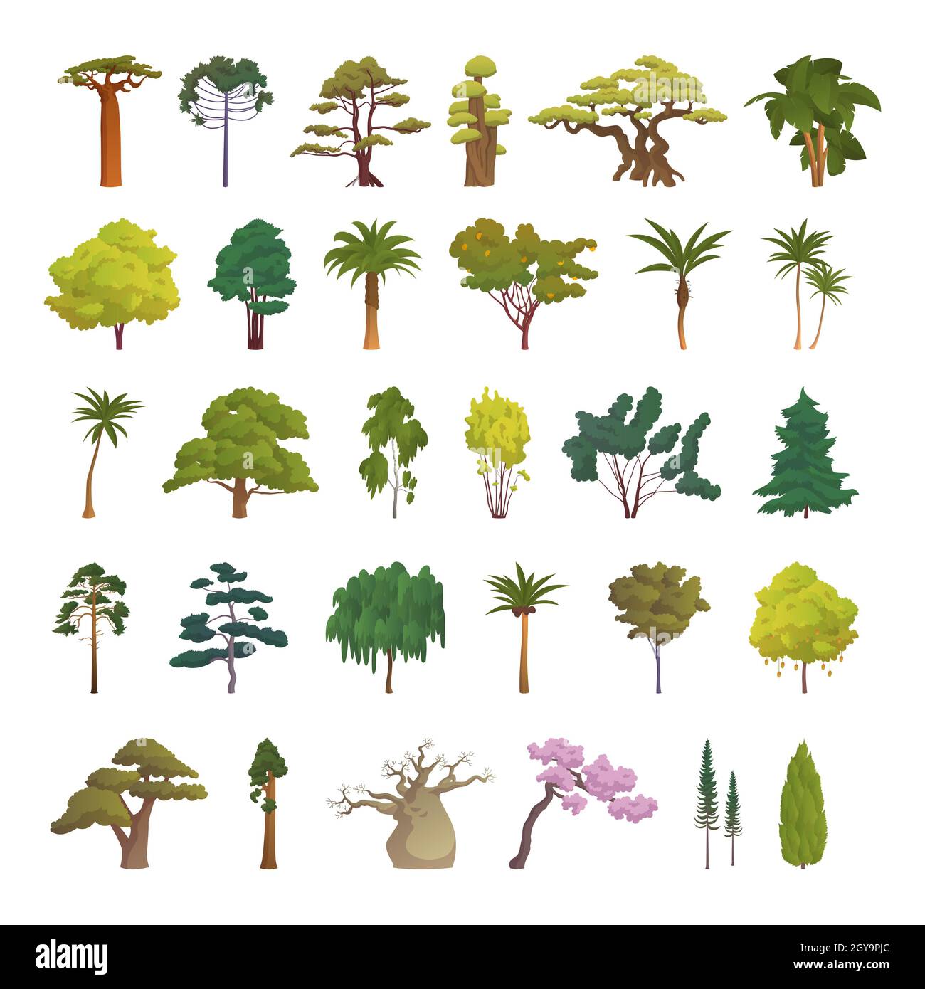 Seth alberi da diverse zone climatiche su sfondo bianco - illustrazione vettoriale Foto Stock