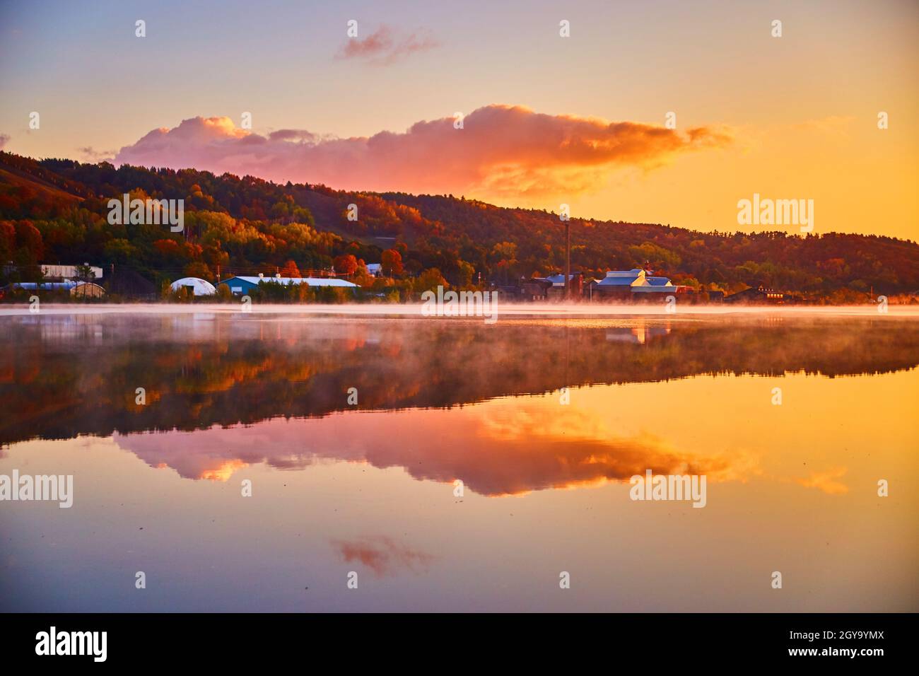 L'alba rosa e dorata su un fiume con una leggera nebbia e vivaci alberi di caduta sulla terra Foto Stock