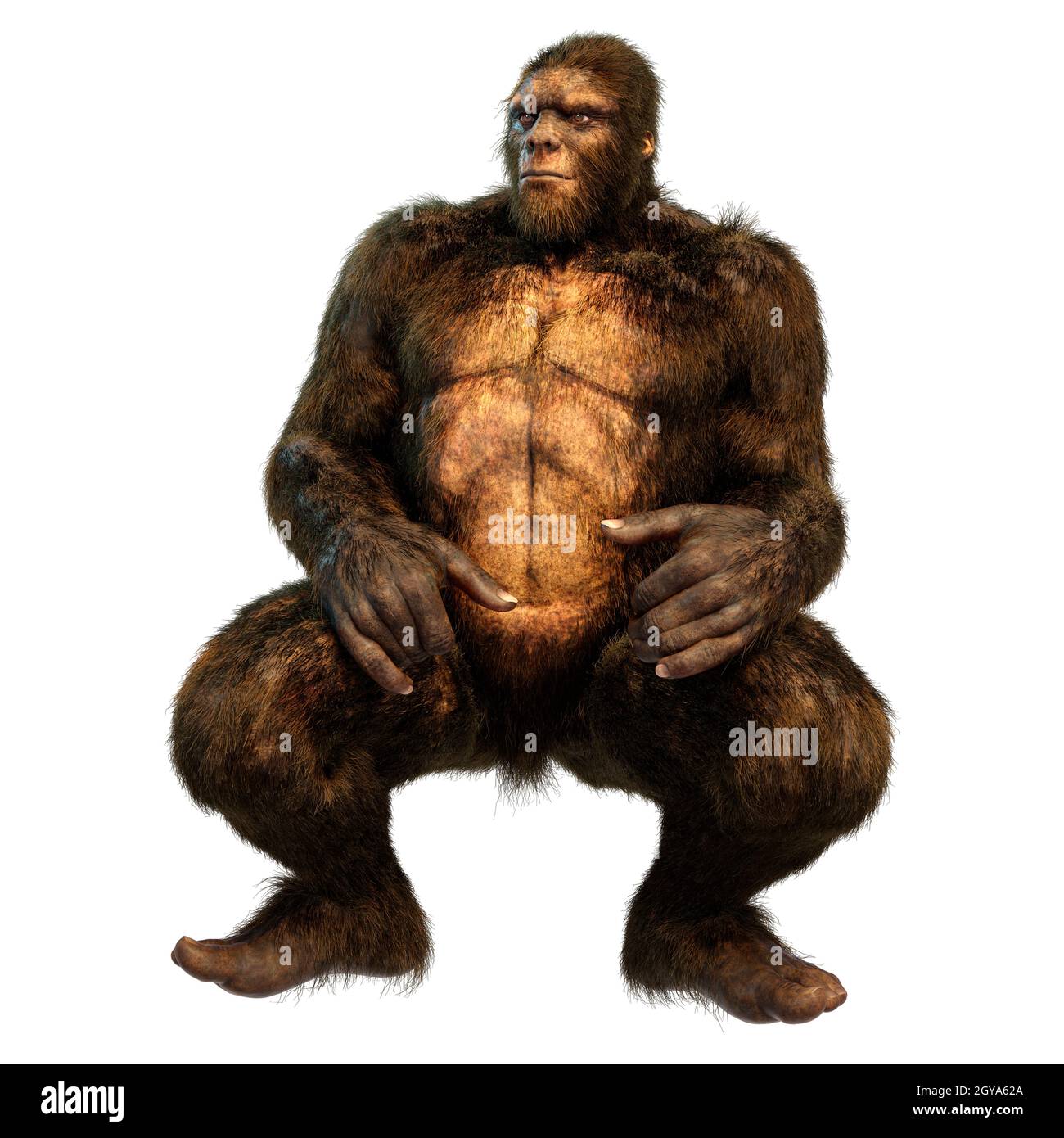 sfondo sasquatch