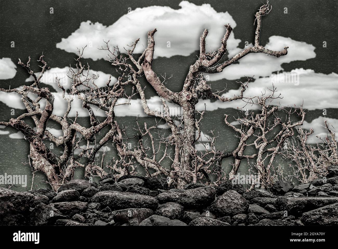 Foto collage tecnica dark fantasy paesaggio scenografia in colori freddi ad alto contrasto desaturati Foto Stock