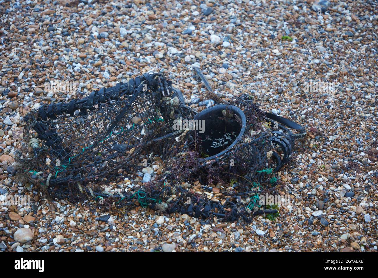 Discarde crabpot e gomma trovato sulla spiaggia. Foto Stock