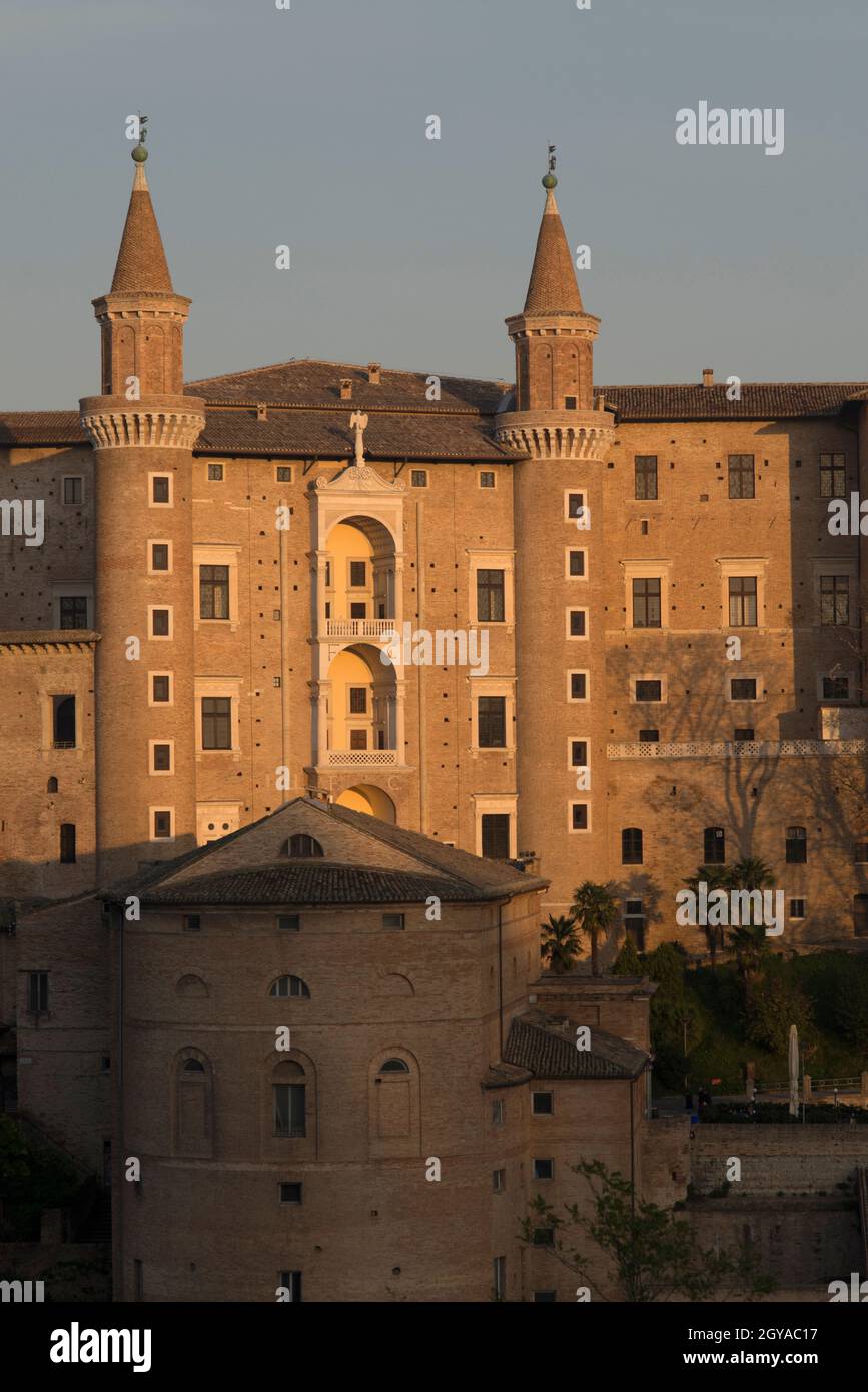 Urbino,Marche,Italia,Palazzo Ducale,Palazzo Ducale;Vista totale Foto Stock