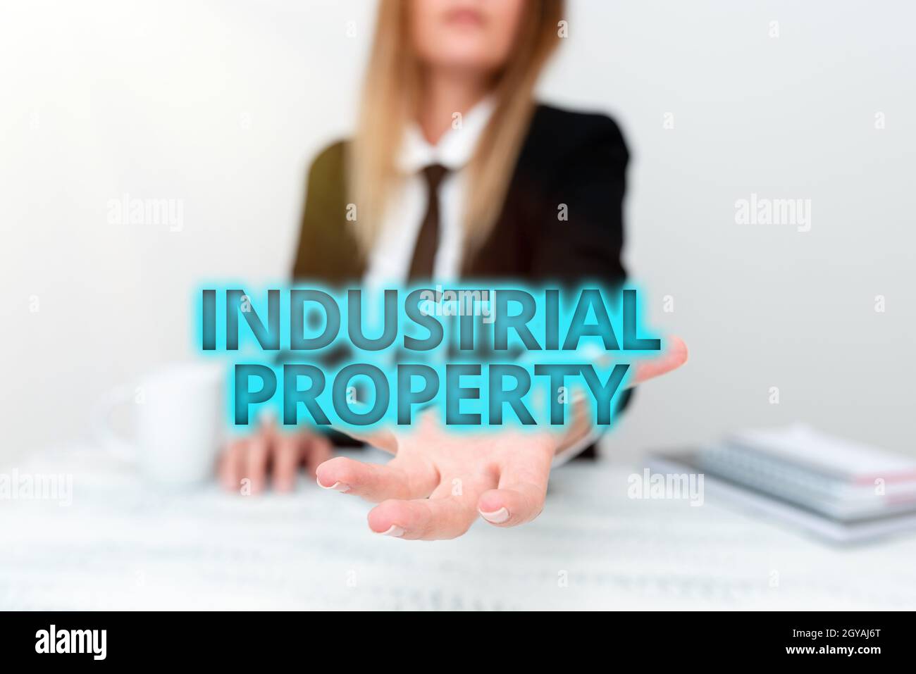 Cartello con scritto a mano Proprietà industriale, Panoramica aziendale la proprietà immateriale di un marchio o di un brevetto che presenta i dati aziendali, discutono Foto Stock