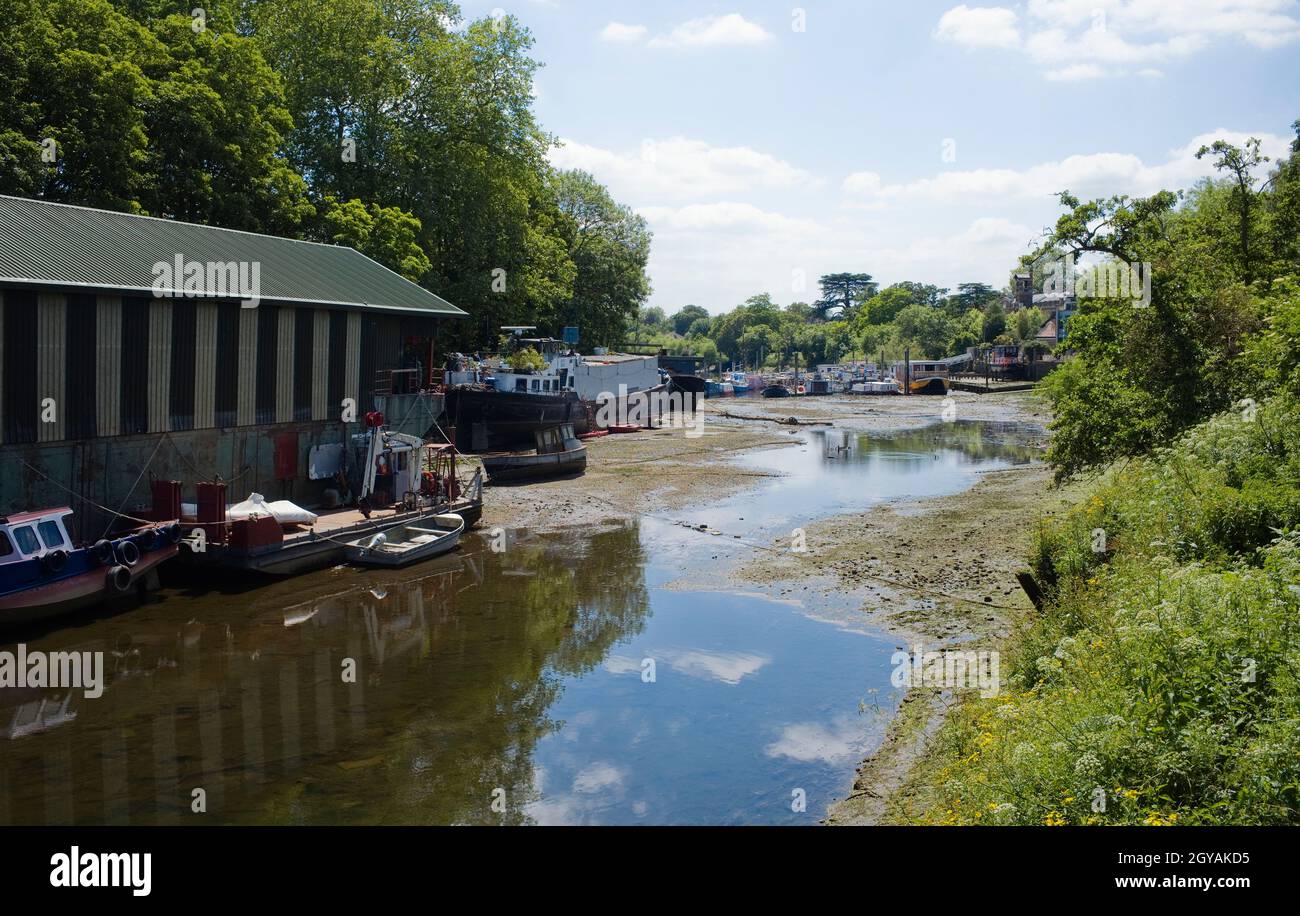 Il cantiere di Isleworth Ait con il fiume Tamigi ad una marea estremamente bassa che guarda a monte Foto Stock