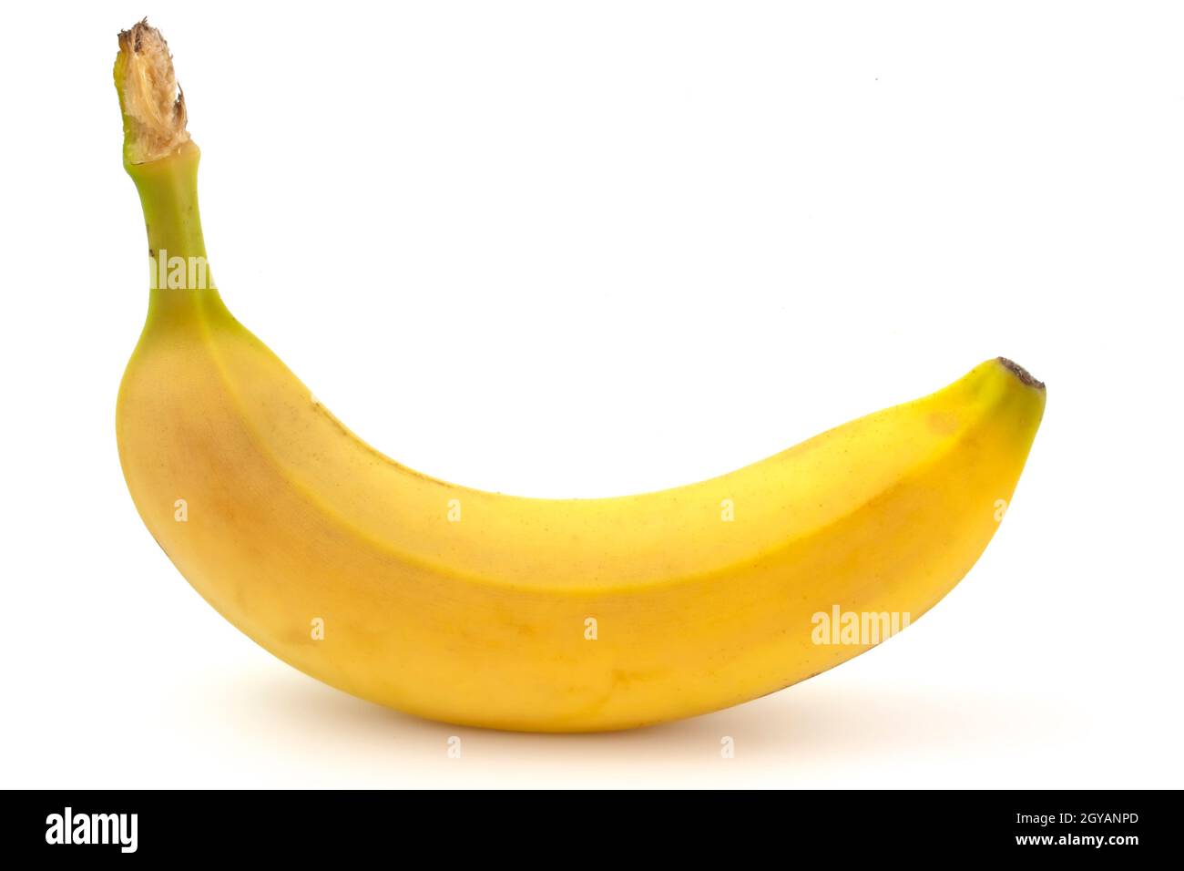 Primo piano di una banana che giace isolata su sfondo bianco Foto Stock