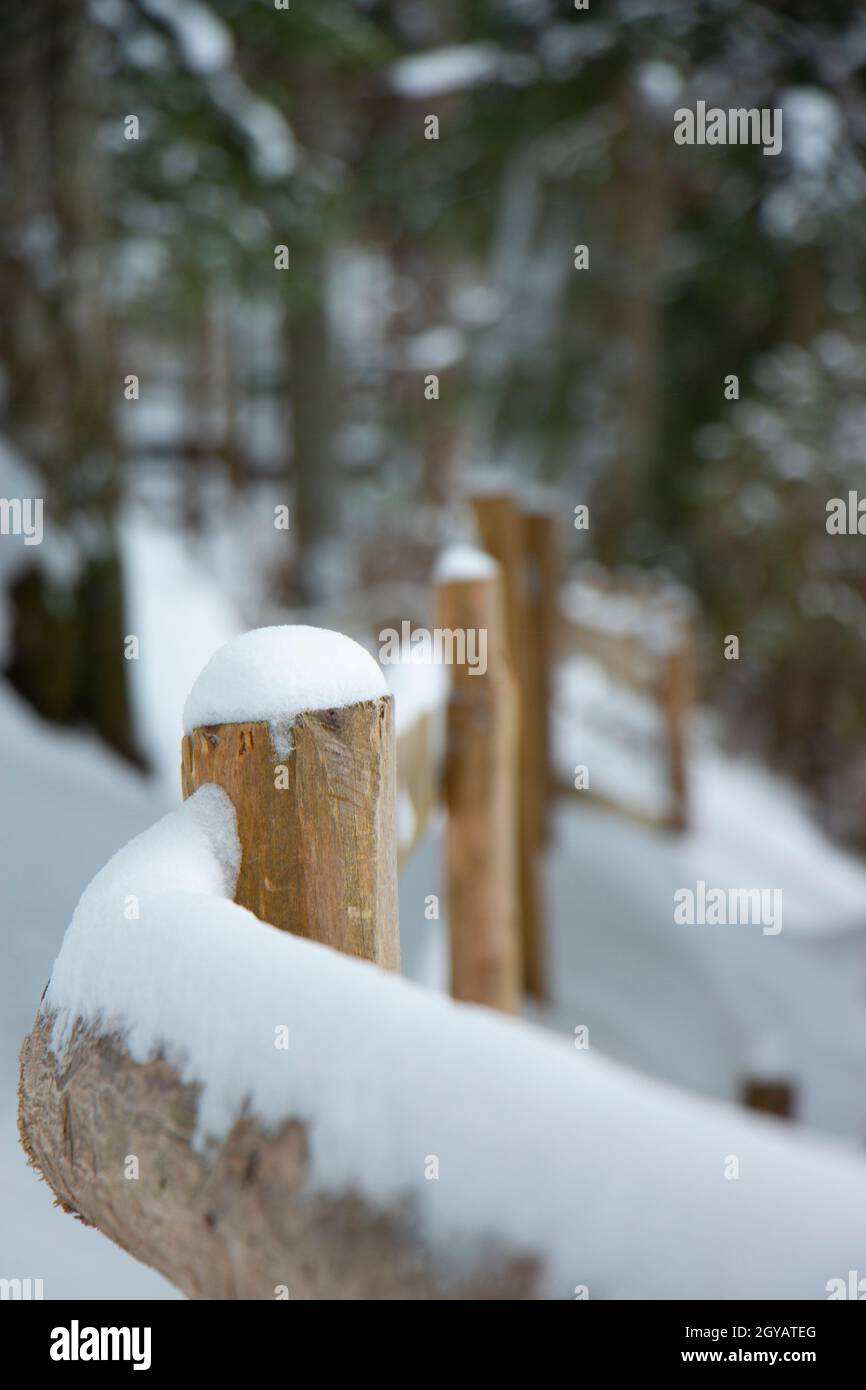 palo in legno mancorrente beige piegato recinzione strada invernale nella foresta. barre giallo cappello di neve Foto Stock
