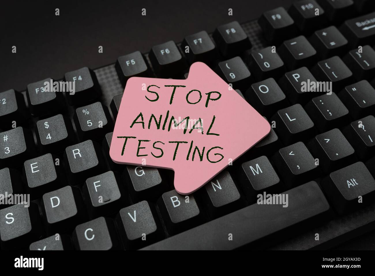 Firma che mostra Stop Animal Testing, panoramica aziendale mettere fine alla sperimentazione animale o ricerca digitando Hospital Records and Reports, creazione Foto Stock