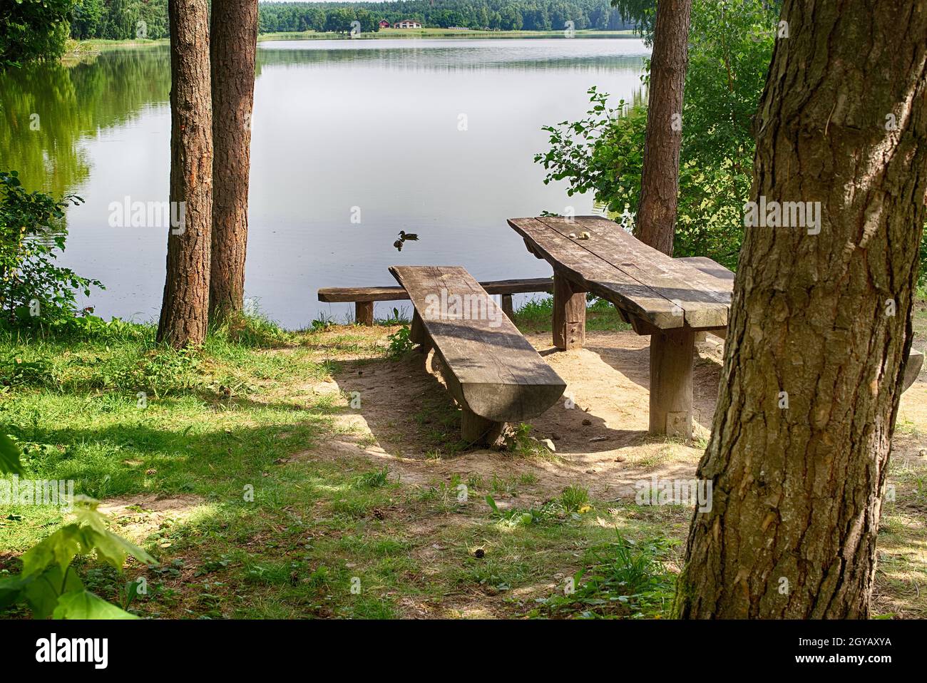 Rustico tavolo e panchine in legno sotto alberi ombreggiati sulle rive di un tranquillo fiume o lago con uccelli acquatici nuoto e riflesso del circondodi Foto Stock