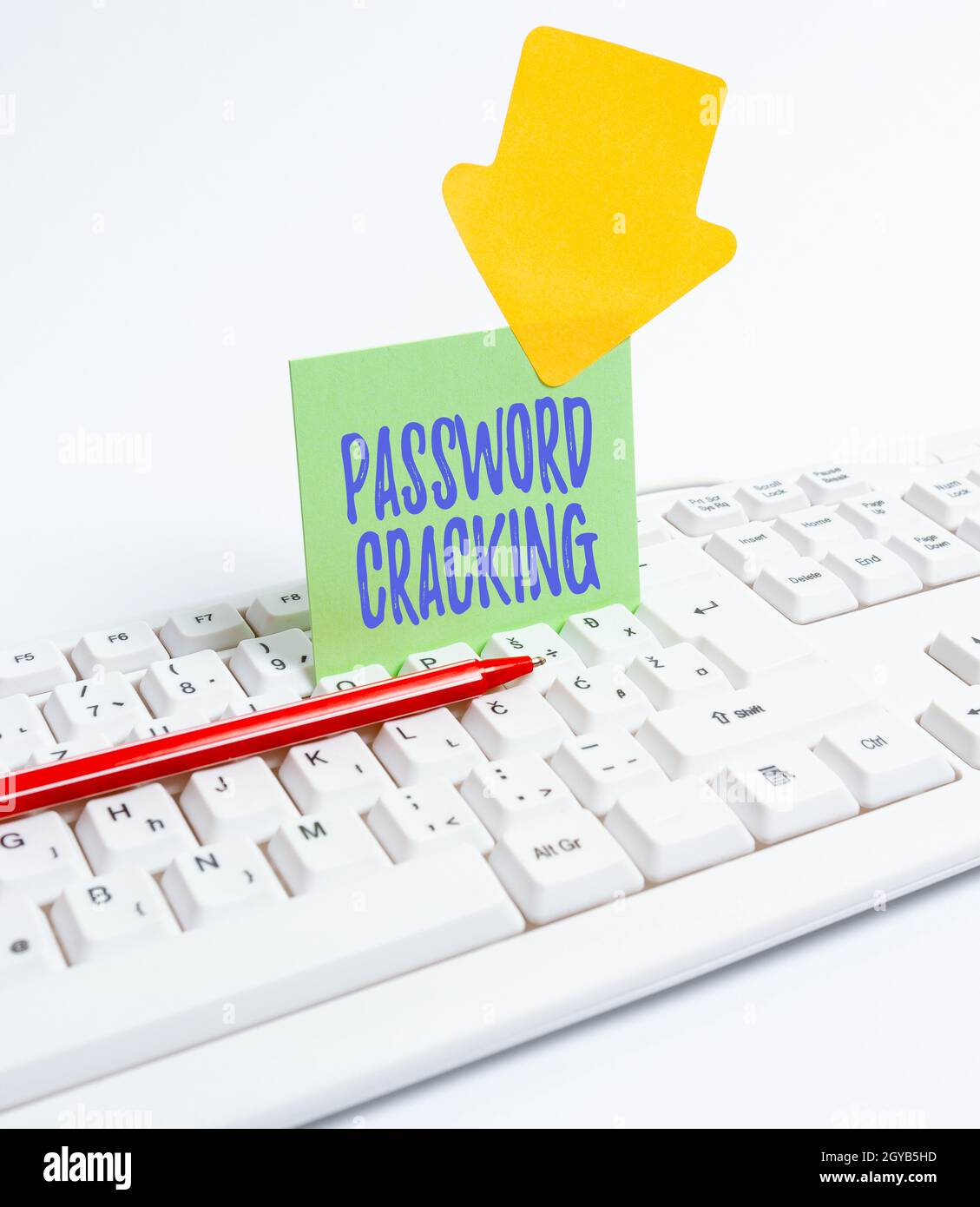 Scrittura visualizzazione testo Password cracking, Internet Concept misure utilizzate per scoprire le password del computer dal computer dati laptop per la comunicazione T. Foto Stock