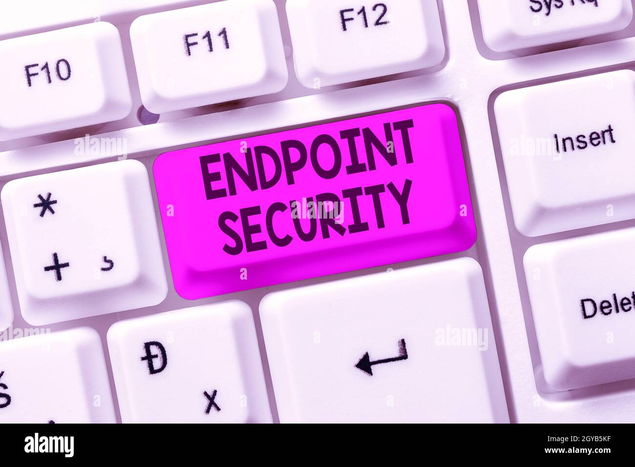 Scrittura visualizzazione del testo Endpoint Security, Business Overview la metodologia di protezione della rete aziendale creazione di un nuovo Online Shop Business, Ty Foto Stock