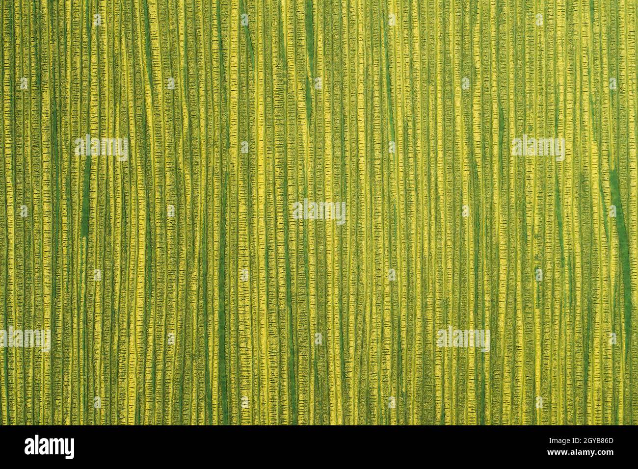 Frammento di tessuto Wallpaper Modern Repeat Pattern with Textures. Foto Stock