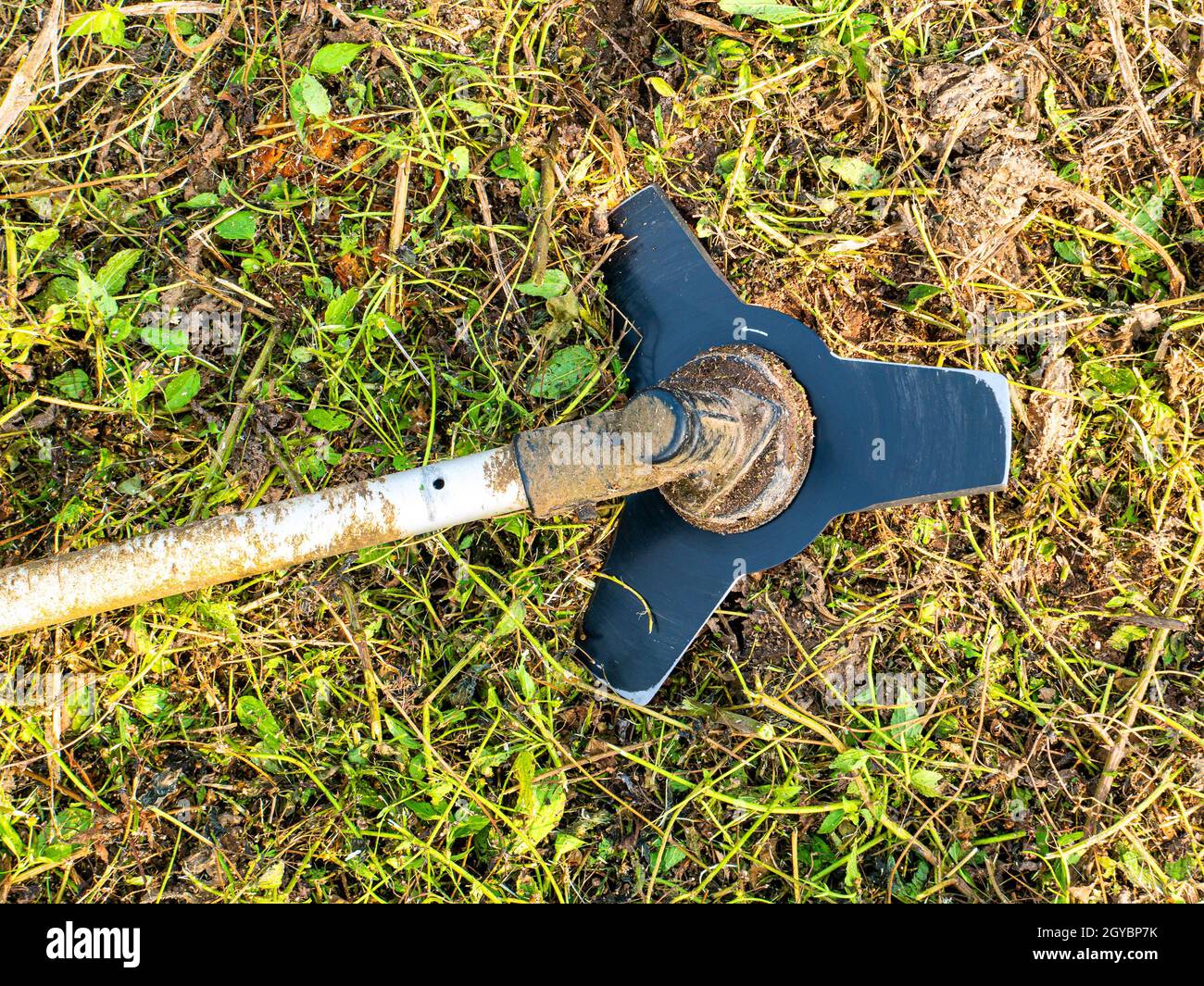 Disco tosaerba su sfondo verde erba. Tagliabasette per il taglio di prati verdi. Tagliare il prato lateralmente. Attrezzo del giardiniere. Attrezzatura. Giardinaggio. M Foto Stock