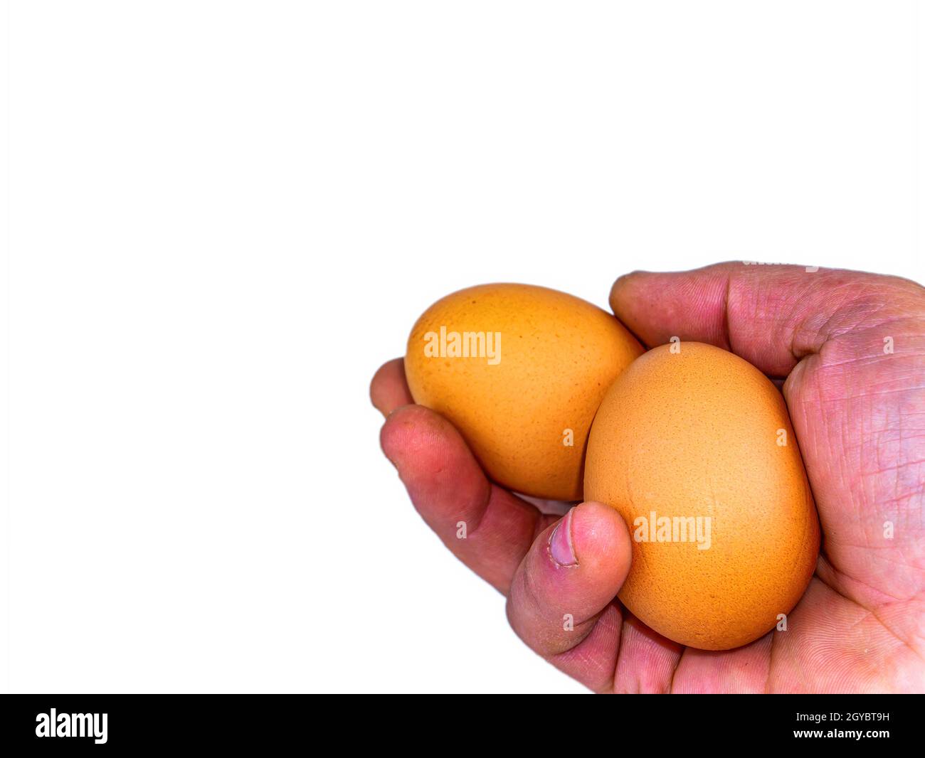 Due uova di pollo in una mano dell'uomo. Uovo. Palmo mano umano. Cibo sano. Prodotti avicoli. Gusci di uova di pollo. Mani di un uomo. Settore agricolo. Eco Foto Stock