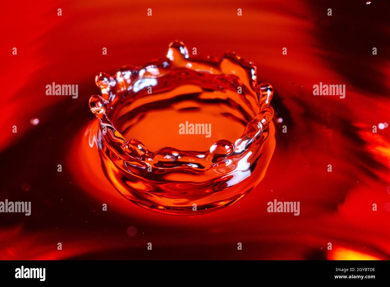 Corona d'acqua rossa e arancione di Crimson formata da una goccia d'acqua Foto Stock