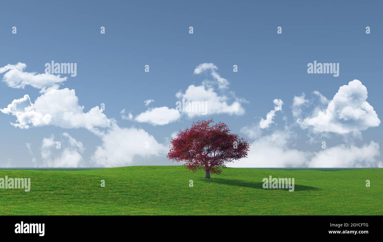 3D render di un albero di acero paesaggio Foto Stock