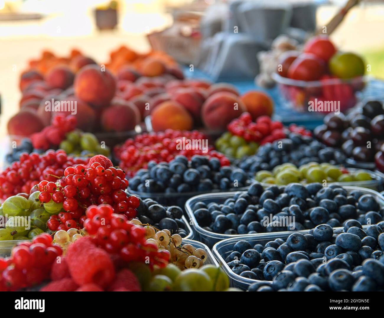Ribes, lamponi, frutti di bosco, frutti di bosco e altri frutti e ortaggi in vendita presso il mercato agricolo locale. Prodotti biologici freschi in vendita a. Foto Stock