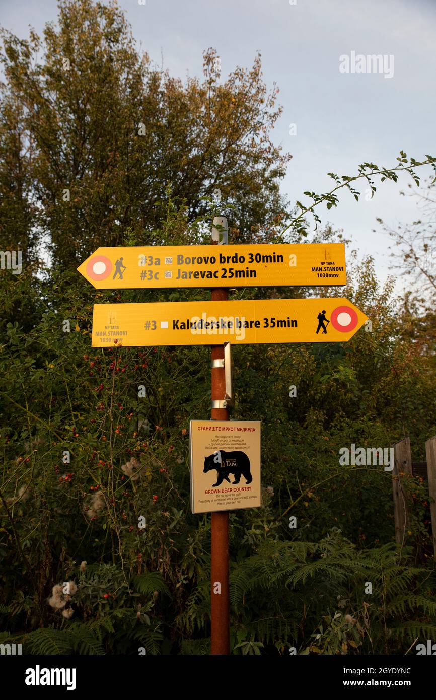 MONTAGNA DI TARA, Serbia - 16 settembre 2020: Cartello che raffigura sentieri escursionistici e Bear Encounter avvertimento nel parco nazionale di Tara, in Serbia, Europa Foto Stock