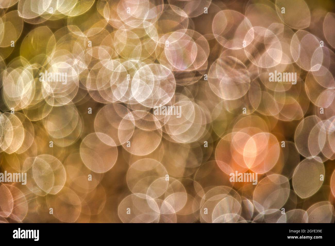 Un singolo punto arancione bokeh e un motivo sfocato bianco e verde full frame bokeh Foto Stock