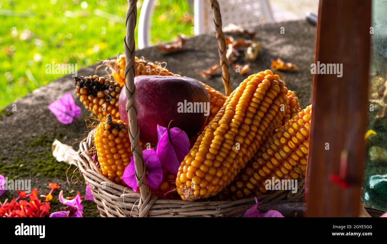 cesti di vimini contenenti pannocchie di mais e una mela rossa Foto Stock