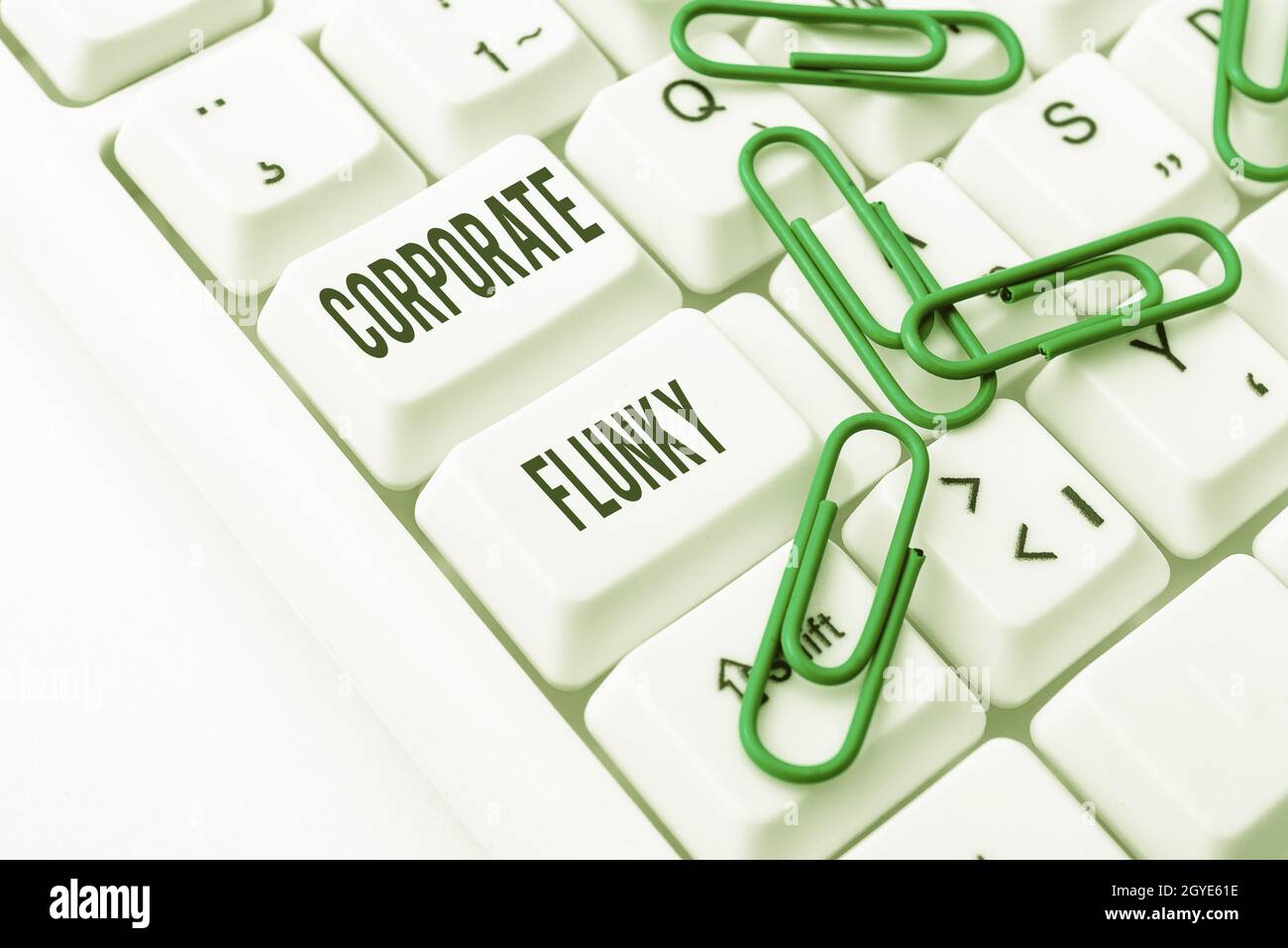 Ispirazione che mostra segno Flunky corporativo, parola per qualcuno che lavora obbedientemente per un'altra persona in Internet Browsing azienda e Ricerca in linea S. Foto Stock