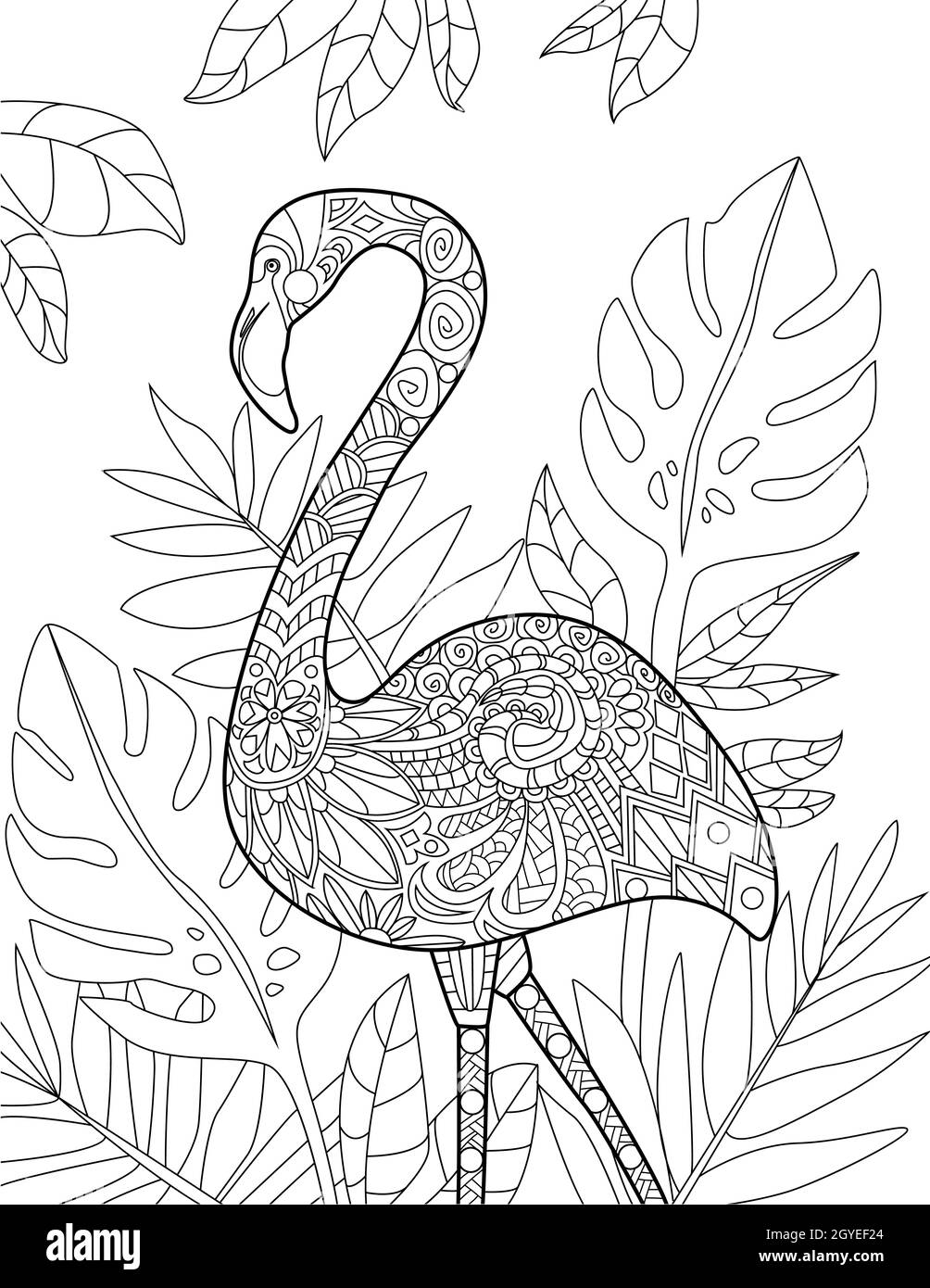 Flamingo in piedi con disegno di linea a foglia Backgroun incolore. Foto Stock