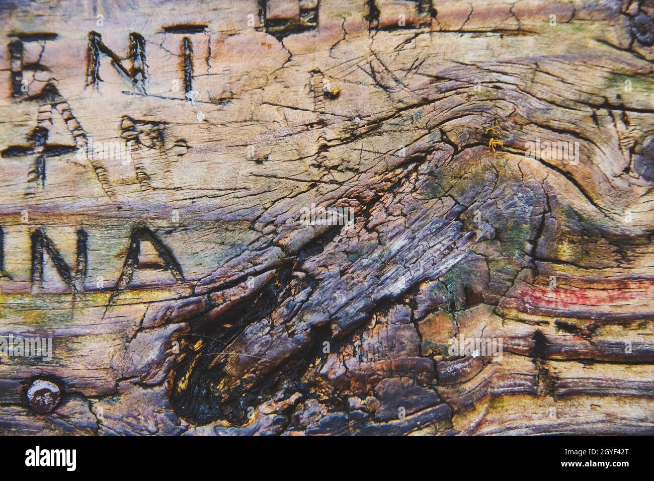 Tessitura del legno ricoperto di intagli delle iniziali della gente Foto Stock