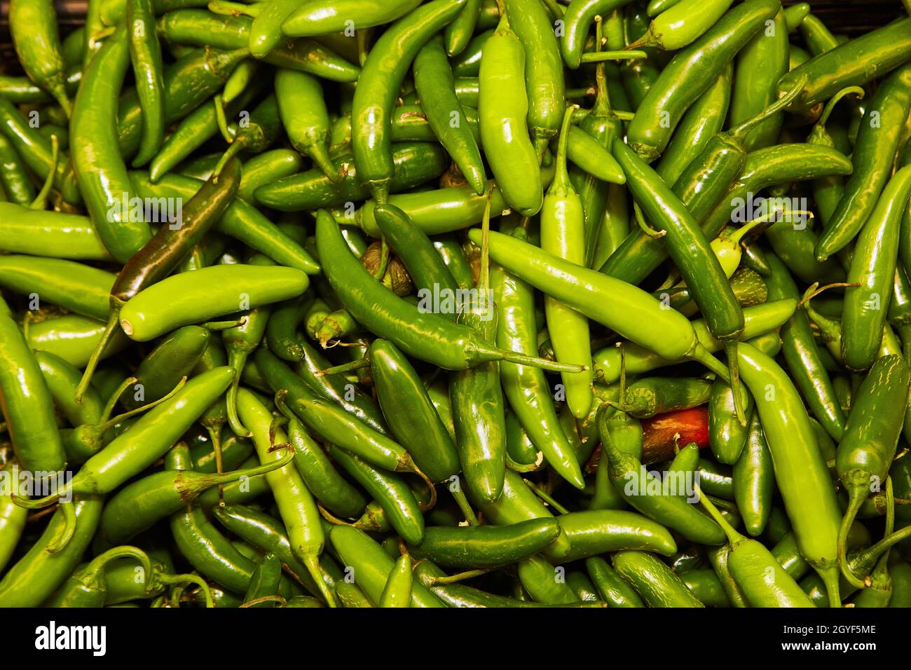 Vassoio pieno di prodotti freschi di peperoni jalapeno Foto Stock