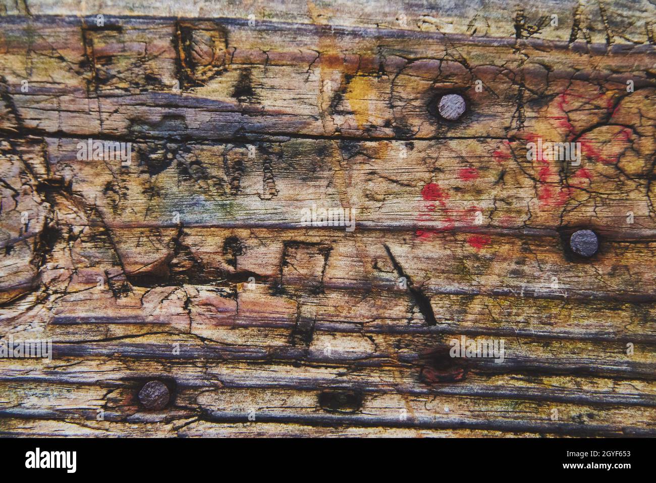 Texture di vecchio legno pianta in su vicino con la gente;s iniziali scolpite in esso Foto Stock