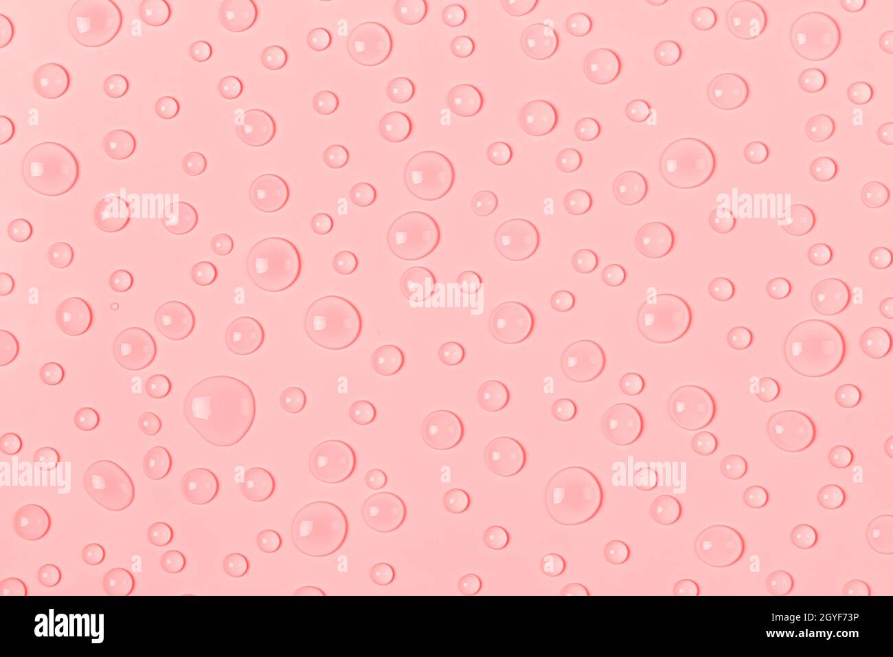 Gocce d'acqua su sfondo rosa pastello. Acqua texture close up. Sfondo vetro coperto da gocce d'acqua. Bolle d'acqua Foto Stock