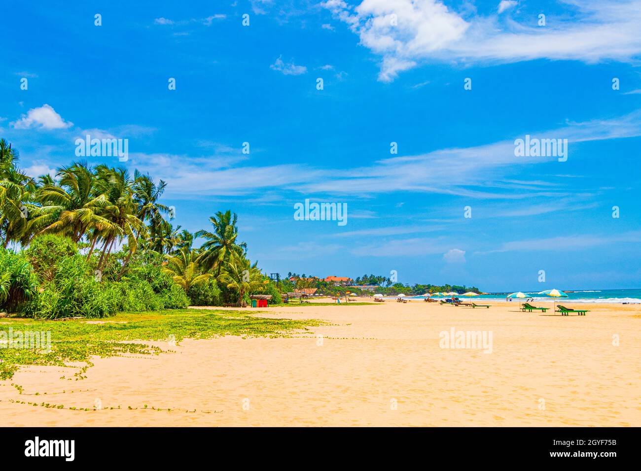 Splendido panorama soleggiato da Bentota Beach sull'isola dello Sri Lanka. Foto Stock