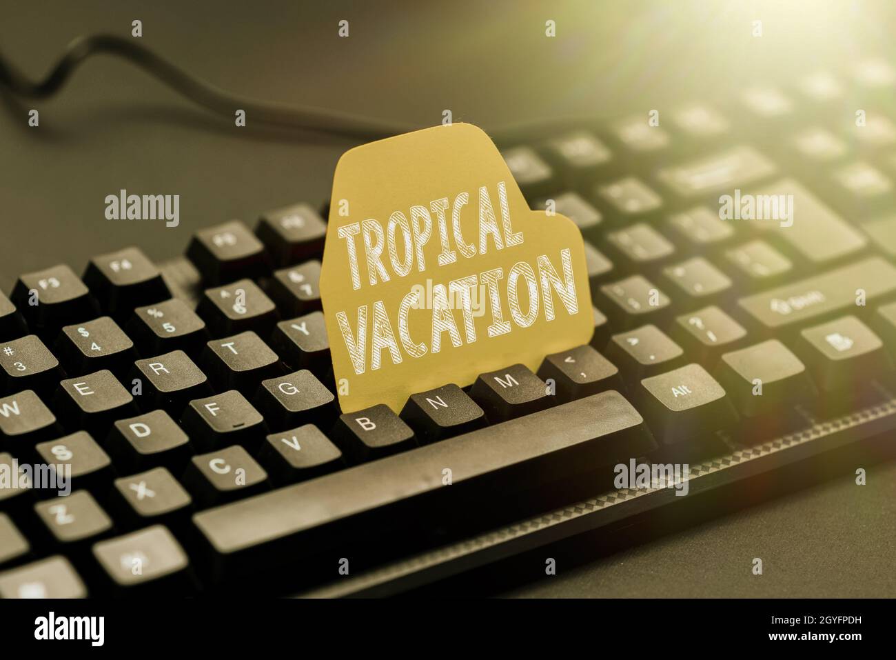 Testo che mostra ispirazione Tropical Vacation, Business idea prendere una vacanza in paesi entrambi i lati dell'equatore typewriting Movie Review articolo, T Foto Stock