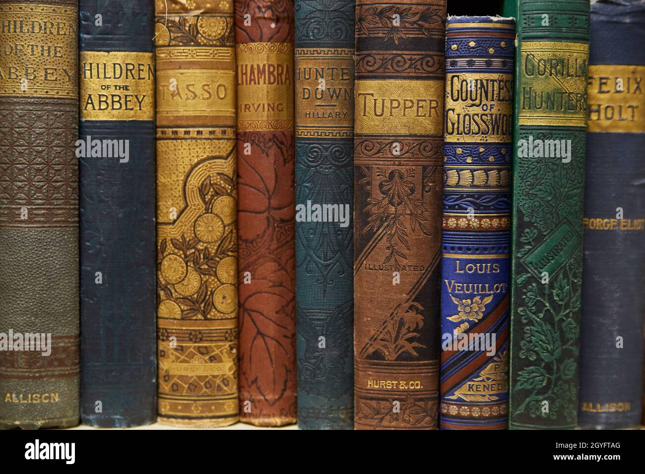 Scaffale di vecchi libri in pelle su scaffale Foto Stock