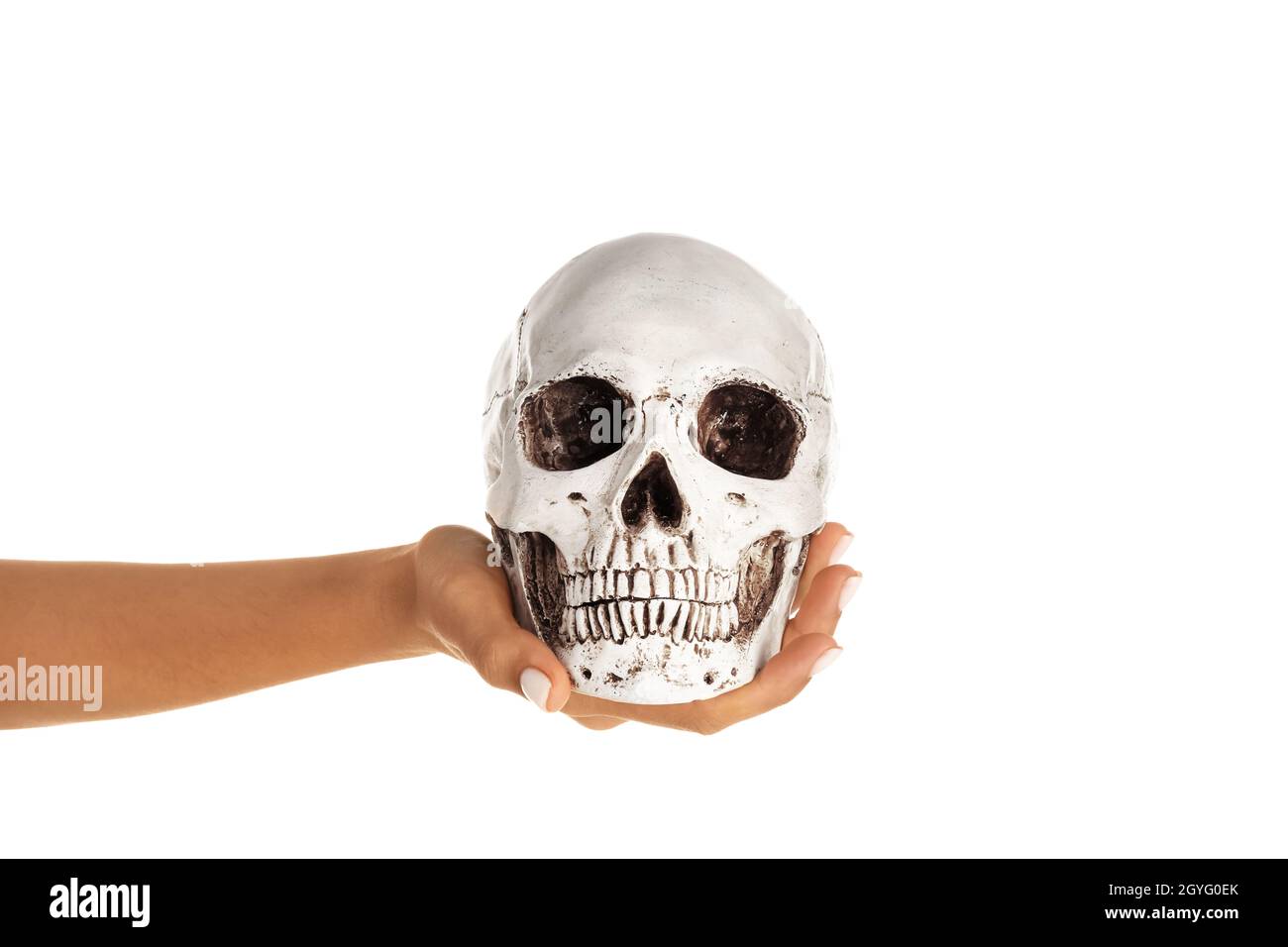 Mano femminile con cranio umano su sfondo bianco Foto Stock