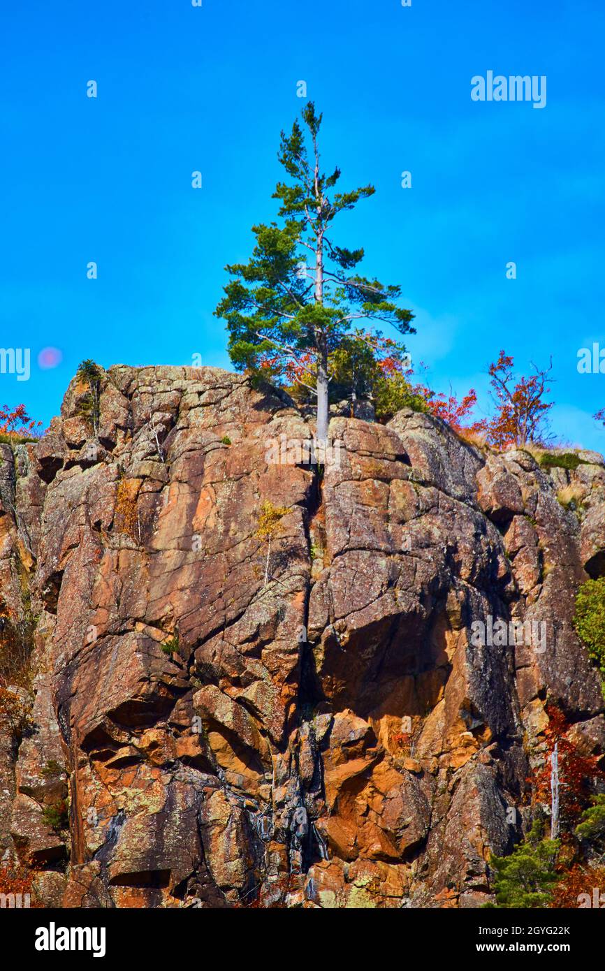 Albero solitario in cima a una massiccia scogliera con sole viola nel cielo di blu increspato Foto Stock