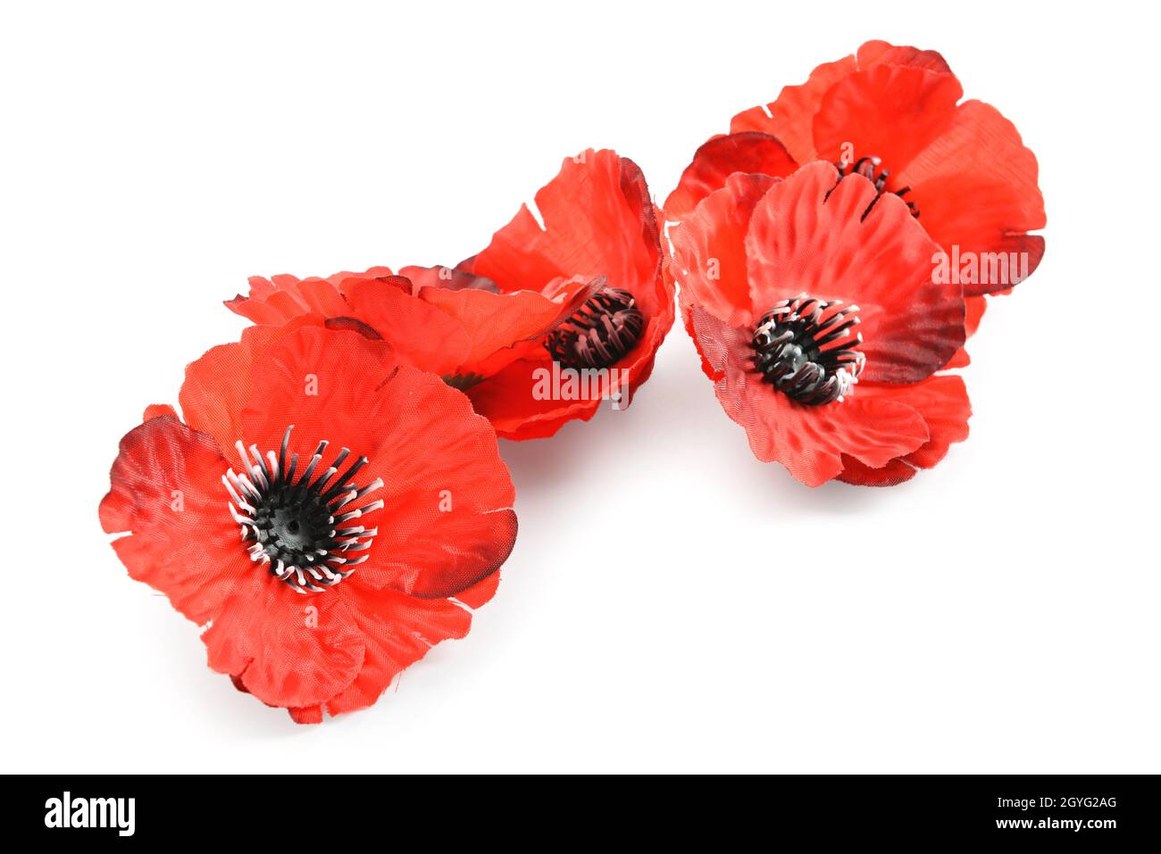 Giornata del ricordo in Canada. Fiori di papavero rosso su sfondo bianco Foto Stock