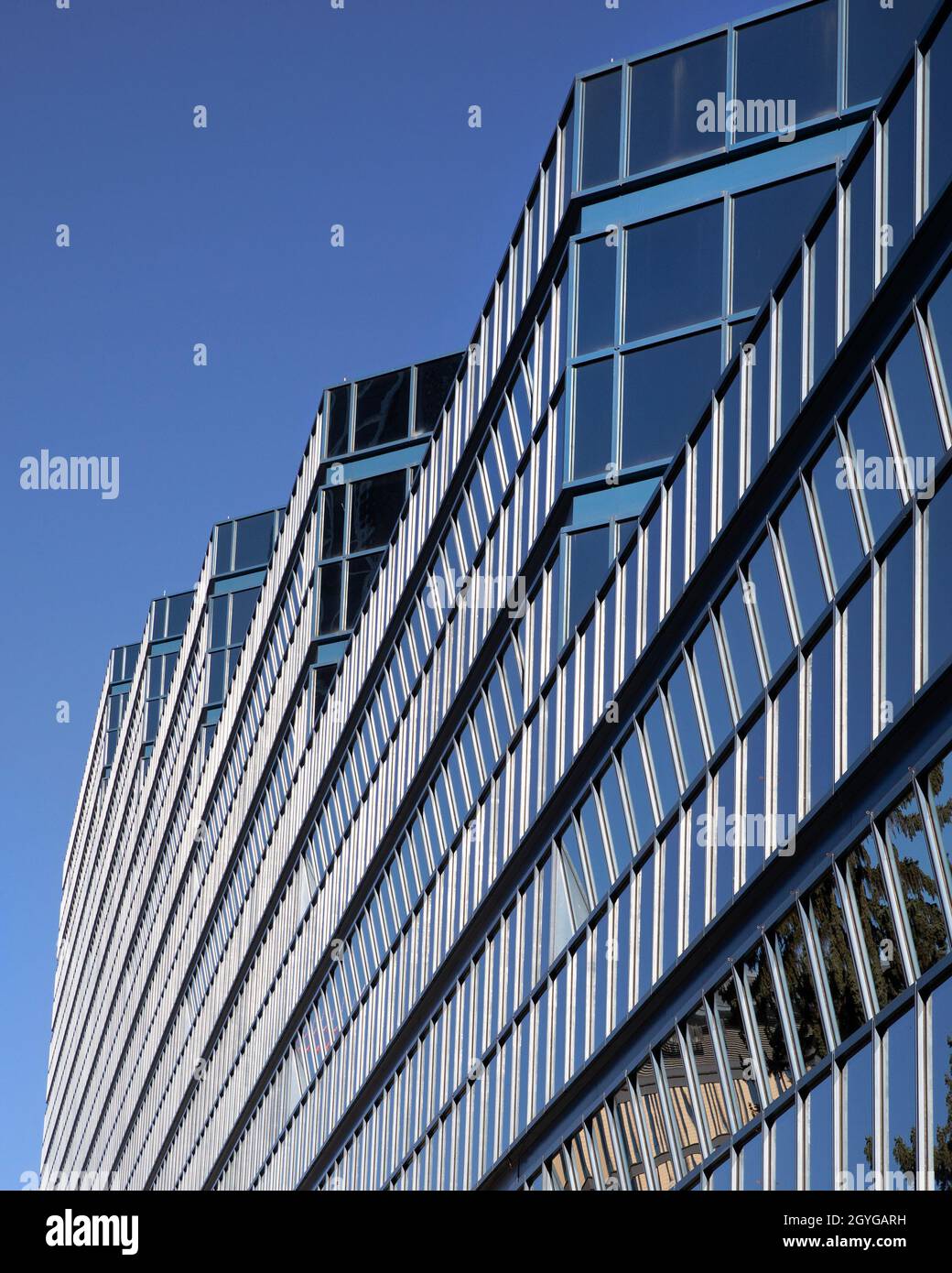 L'edificio municipale di Calgary, noto anche come il nuovo municipio, si trova vicino alla facciata in vetro riflettente Foto Stock