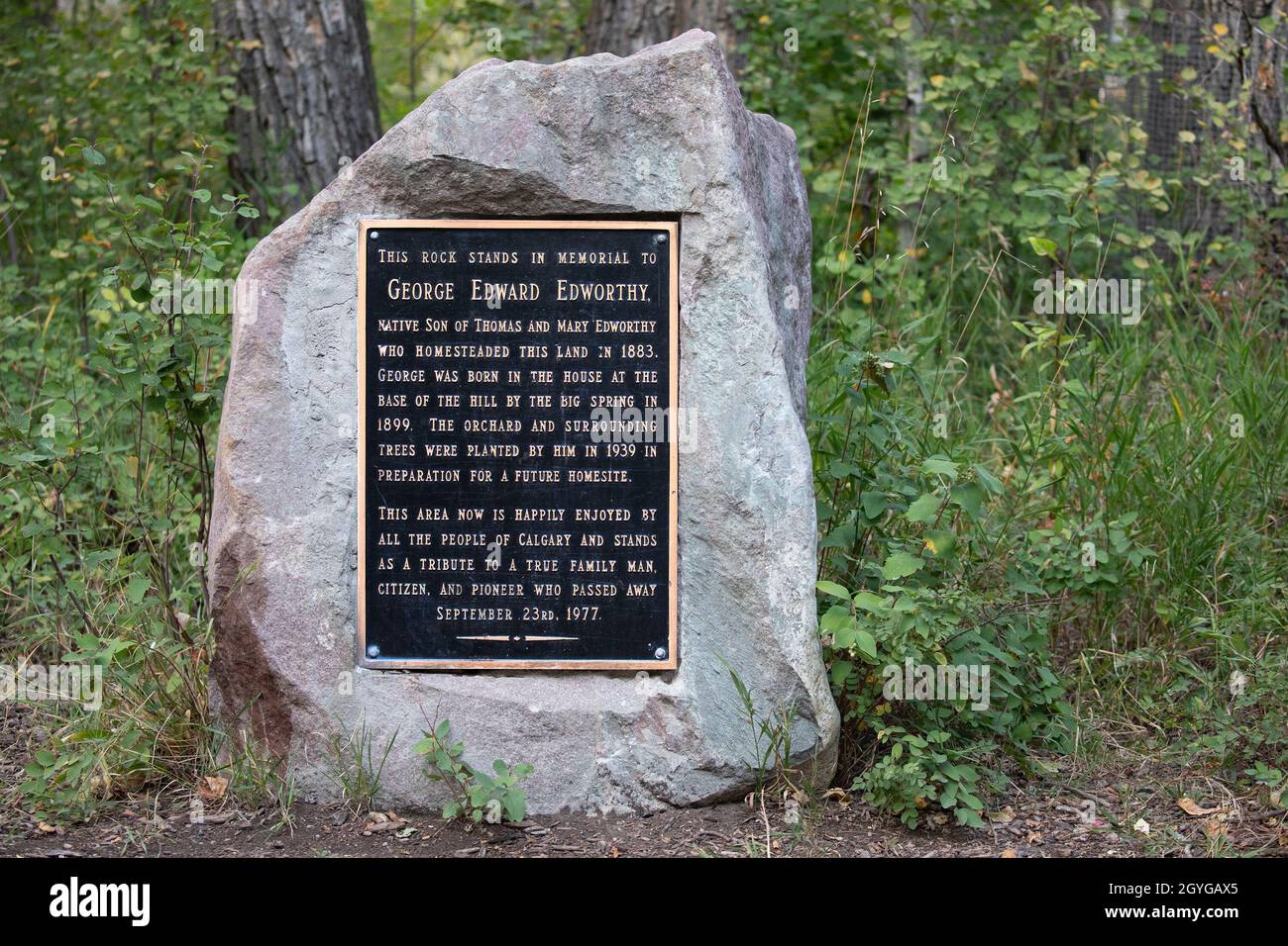 Memorial Plaque on Rock in onore di George Edworthy, un pioniere del Canada occidentale che coltivava la terra ora protetta come Edworthy Park a Calgary Foto Stock